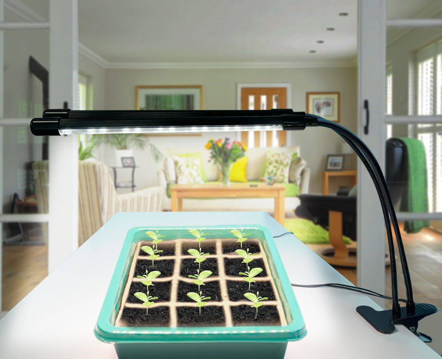 Seed Germination Starter Kit LightlyBloom